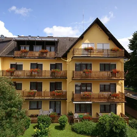 Hotel Weidenau-3